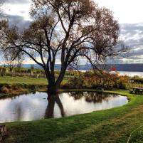 10356419_10100505294128559_2235366951463478952_n