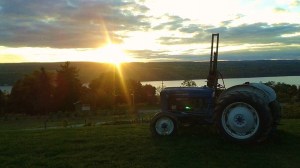 1393686_10100508485493039_3073887769068104521_n