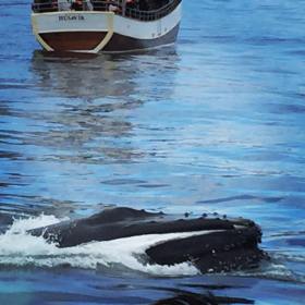 13442188_10100904769476759_4735212437050667944_n