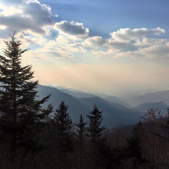 15095051_10101027246411999_6058775837061101809_n