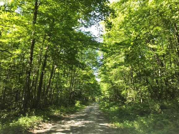 19398127_10101252965808519_1702129997_n