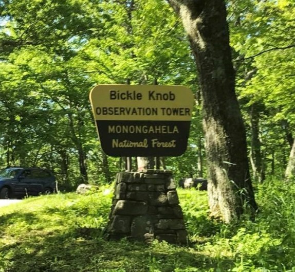 19415947_10101252966157819_566618756_n