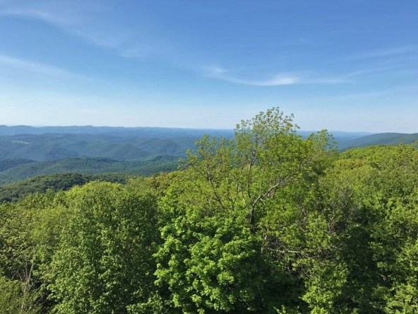 19415984_10101252966721689_157722715_n