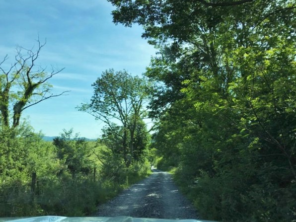 19427565_10101252966756619_2040381691_n