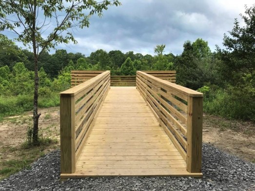 19489443_10101258585007599_1255350853_n