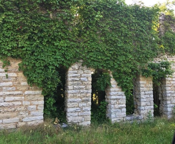 20046189_10101282511523669_2010254616_n