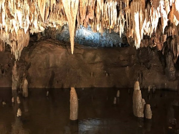 20046246_10101282508804119_1617015778_n