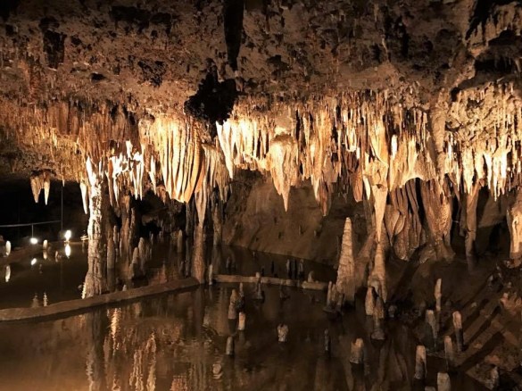 20117552_10101282508719289_1910702061_n