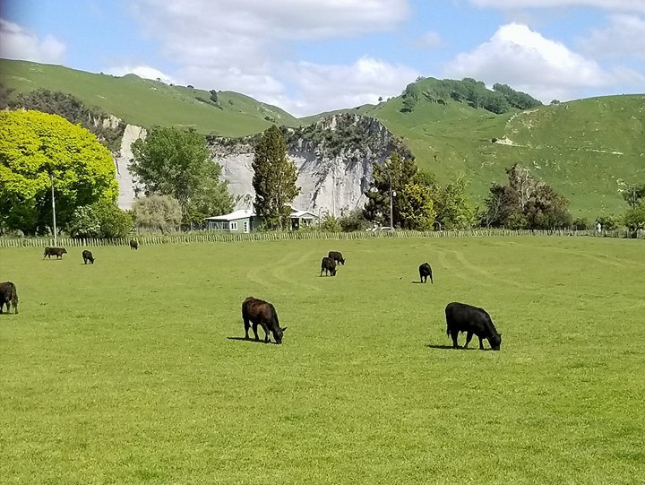 24581293_10101414915839359_571319639_n