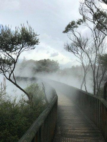 24829523_10101417906271509_1160594952_n