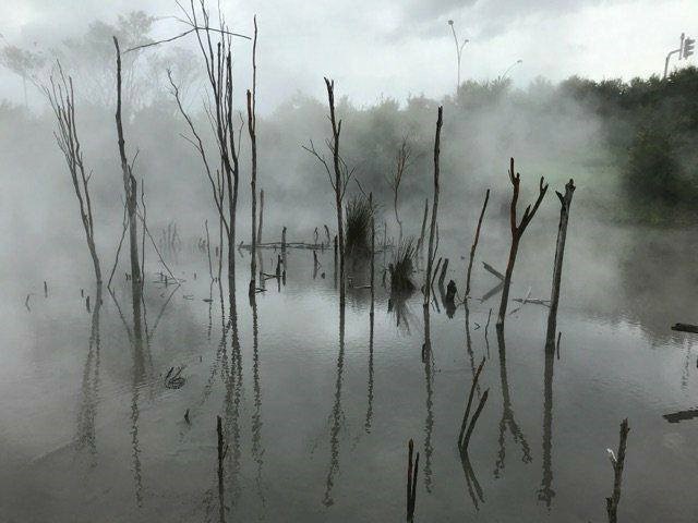 24891679_10101417906266519_166766203_n