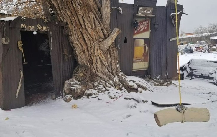 27073299_10101467748098089_494594204008135692_n