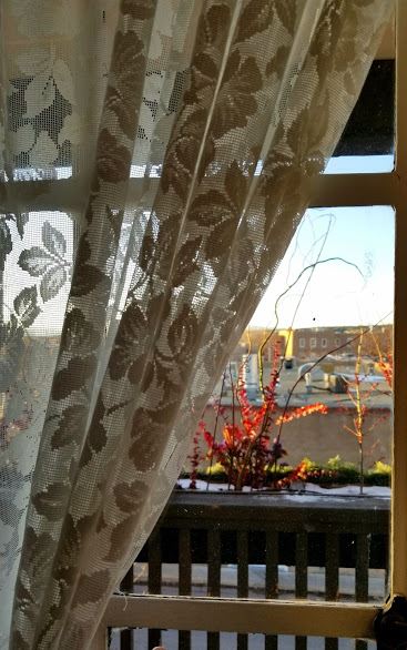 27331543_10101467748162959_6803016678656711604_n