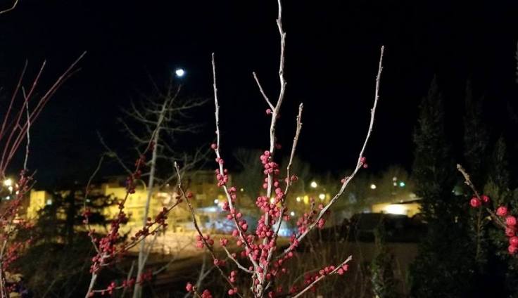 27336521_10101467748322639_7206718740839014133_n