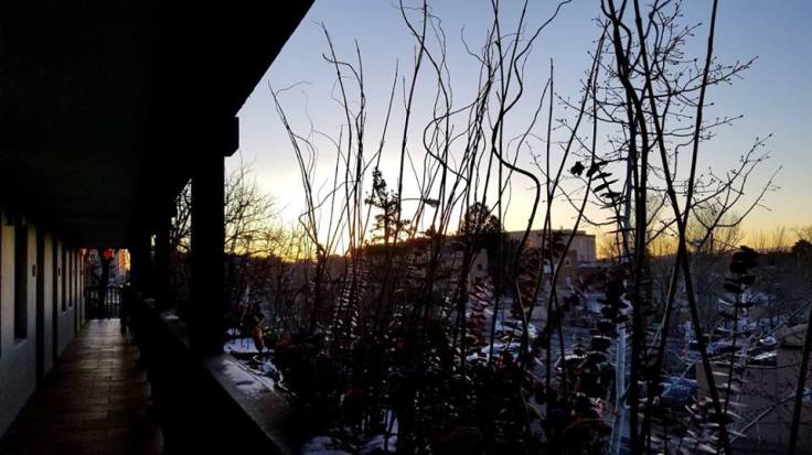 27336887_10101467749345589_6616172917551344729_n