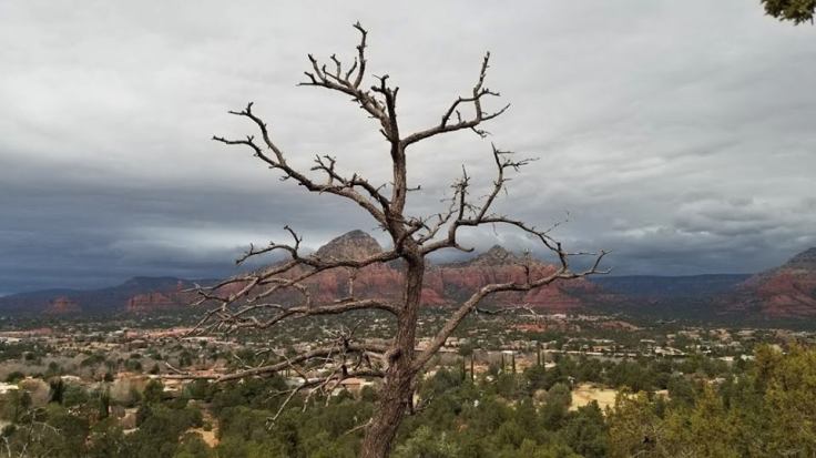 27654605_10101467743617069_87139218497832733_n