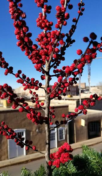 27655099_10101467748123039_3556224619676760941_n