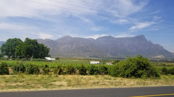 copy of 20181112_103026