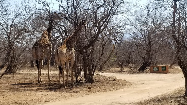 copy of 20181114_143523