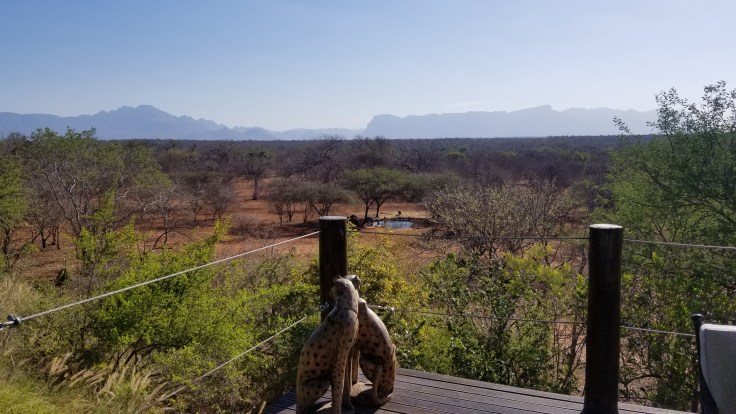 copy of 20181114_155240