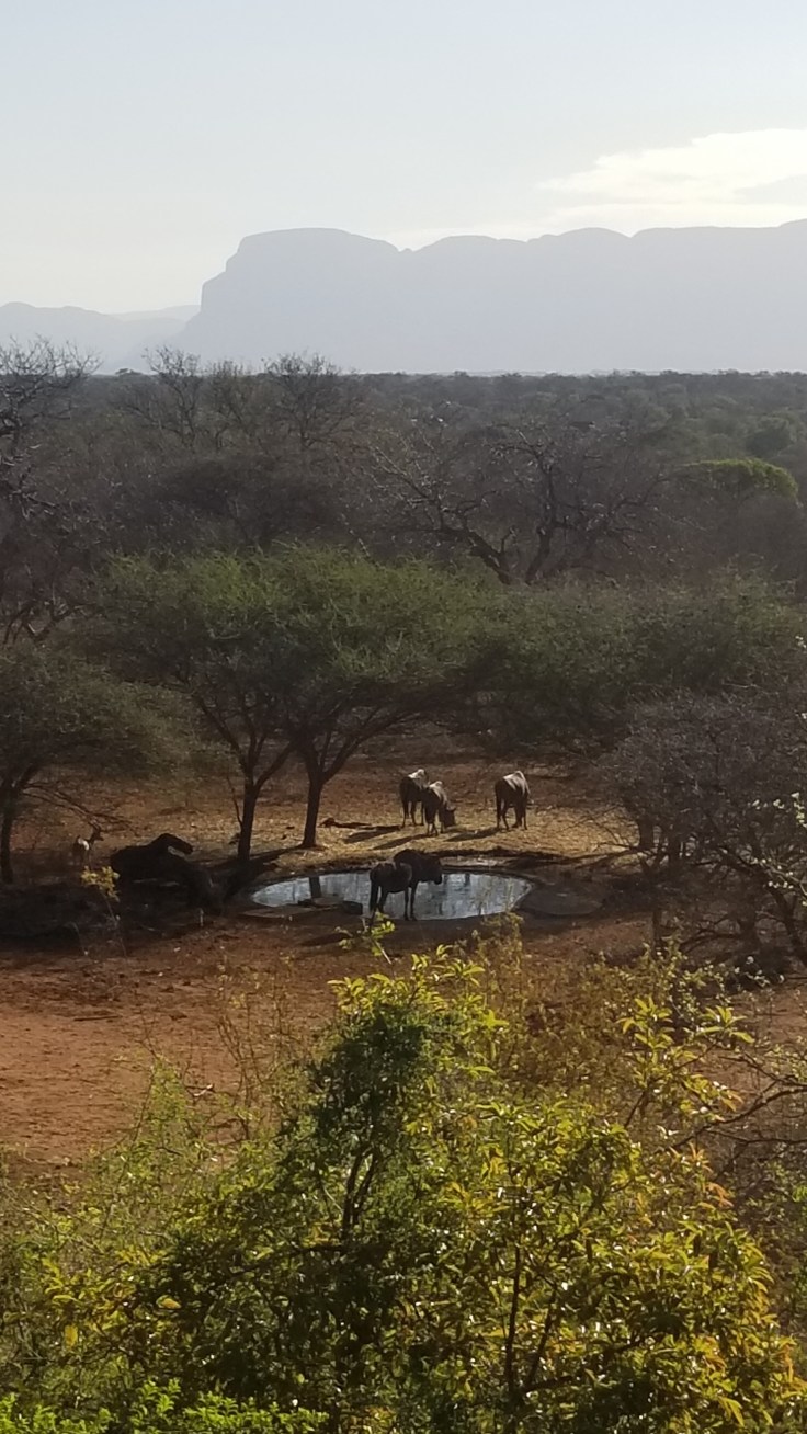 copy of 20181114_163515