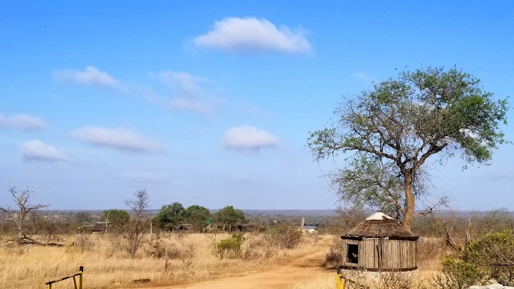 copy of 20181115_064551