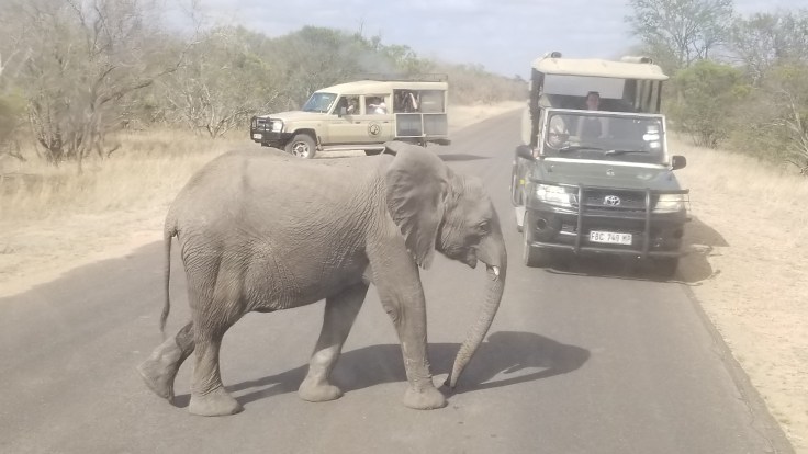 copy of 20181115_075215