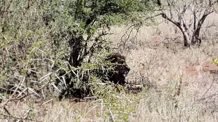 copy of 20181115_140241