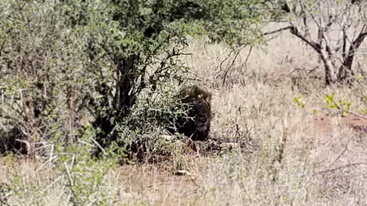 copy of 20181115_140404