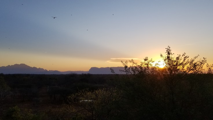 copy of 20181115_180547