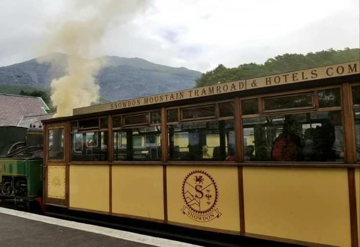 61414546_10101831031959319_7061866020713005056_n