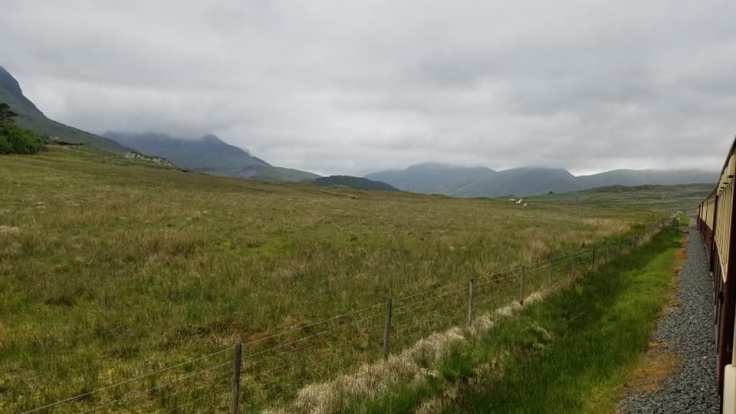 61538887_10101831484472479_1682164494559608832_n