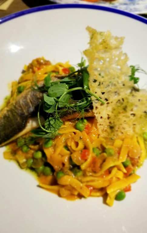 61629509_10101831009005319_8190587991652040704_n