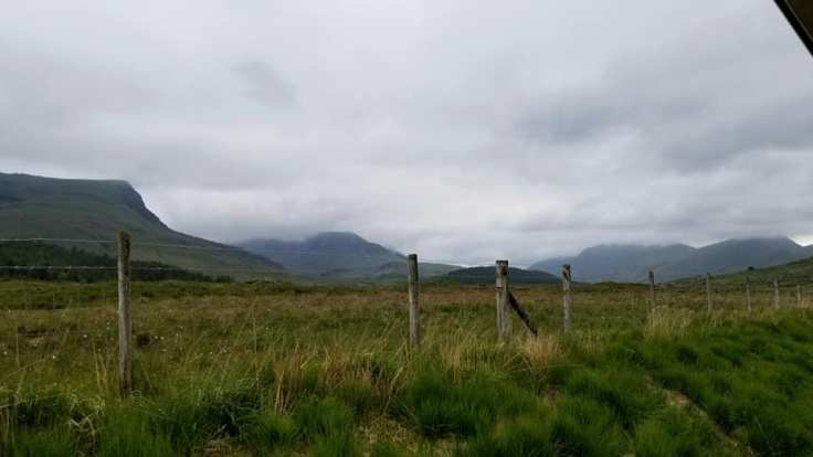 61643513_10101831484442539_8154287512181800960_n