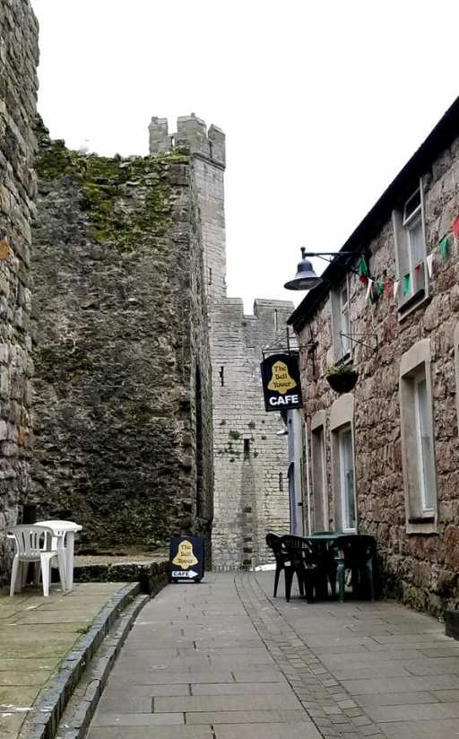 61789819_10101831032702829_2646251628784517120_n