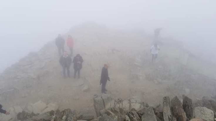 61834521_10101831009459409_6094182117665669120_n